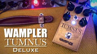 Wampler Tumnus Deluxe [upl. by Enillebyam]