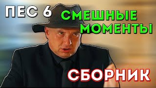 ПЕС 6  СМЕШНЫЕ МОМЕНТЫ все серии 120 СБОРНИК [upl. by Dnallor]