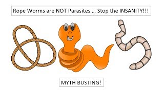 Human Ropeworms are NOT Really Parasites Learn what quotRope Wormsquot really are MYTH BUSTING [upl. by Afrikah]