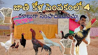 Breeding chickens can be earned in 4 ways Venkat Laxmi vlogs [upl. by Gula404]