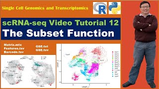 Seurat Video TutorialsVideo 12 The Subset Function [upl. by Dianemarie]