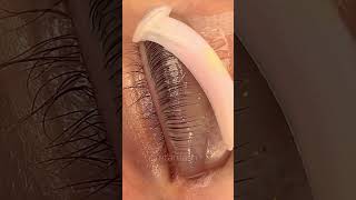 Impressive lash lift technique  Lash Flash [upl. by Arita71]