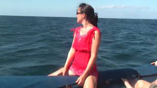 Whale Watching in Maui Hawaii [upl. by Moffat420]