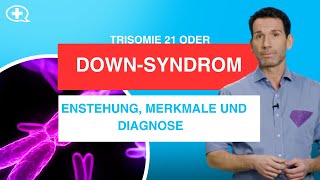 DownSyndrom Trisomie 21 einfach erklärt [upl. by Elazaro]