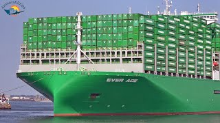 BIGGEST CONTAINER SHIP EVER ACE Maiden call at ROTTERDAM Port  Shipspotting September 2021 [upl. by Mindy340]