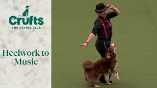 Heelwork To Music Part 2  Crufts 2024 [upl. by Clemmie826]