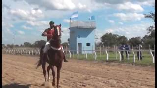 Hipódromo Camarero EN VIVO [upl. by Aloise]