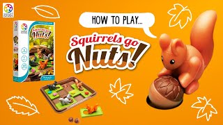 How to play Squirrels Go Nuts  SmartGames [upl. by Trauts]