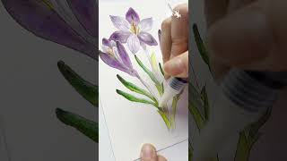 Botanical art tips how to mix colours using Albrecht Dürer Watercolour Marker colourless blender [upl. by Latsyek]