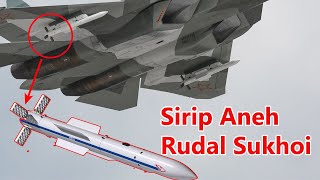 Grid Fin Sirip Aneh Rudal Sukhoi [upl. by Maroney]