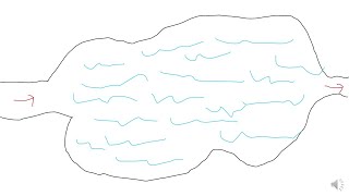 Lacustrine Depositional Systems [upl. by Lebaron340]