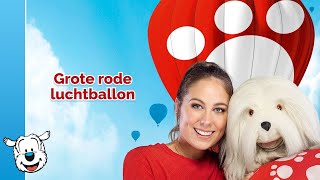 Samson amp Marie Lyrics Grote rode luchtballon [upl. by Nostets]