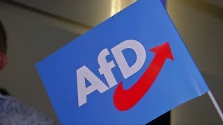 SONNTAGSFRAGE In Ostdeutschland wäre die AfD aktuell stärkste Partei [upl. by Natal]