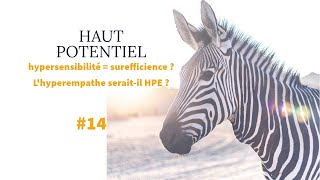 HAUT POTENTIEL 14 Hypersensibilité  surefficience  Le profil HPE seraitil un hyperempathe [upl. by Karine]