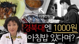 SUB 아침밥은 먹고 다니니  공학관식당1000원의 아침밥  KNUzip EP 3 [upl. by Richer]