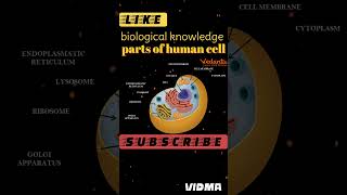 parts of human cell neet aiimstrendingshorts mbbs motivation [upl. by Enyledam]