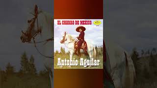 Caballo Prieto Azabache  Antonio Aguilar  A Diez Anos De Su Adios [upl. by Shafer208]