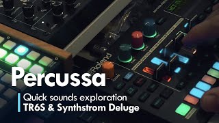 Roland TR6S amp Synthstrom Deluge  Quick sounds exploration [upl. by Ayamahs341]