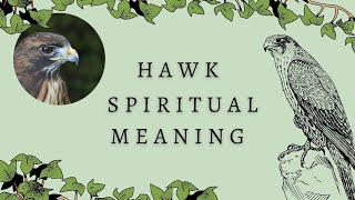 5 Reasons For Seeing The Hawk Spirit Animal  Hawk Spiritual Symbolism [upl. by Onitsoga961]