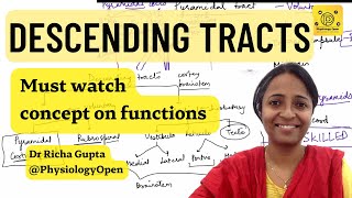 Descending pathways physiology  Pyramidal and extrapyramidal tracts  CNS Physiology mbbs 1st year [upl. by Donna235]