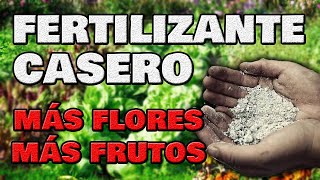 CENIZA Fertilizante de Crecimiento y Floración 💐 Abono Casero Orgánico para Huerto Urbano y Flores [upl. by Anaicul]