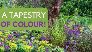 23 stunning ground cover plants  create a tapestry of colour and texture in difficult places [upl. by Lenoel766]