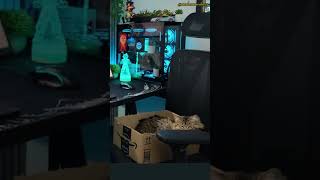 YABANCILARIN BİLGİSAYARLARINI YORUMLUYORUM SETUP BİLGİSAYAR SETUPLARI pc pcsetup reddit short [upl. by Namso]