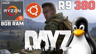 DayZ on LINUX  Ryzen 5 2600  R9 380 4GB  8GB RAM Ubuntu 2310 [upl. by Ainolopa390]