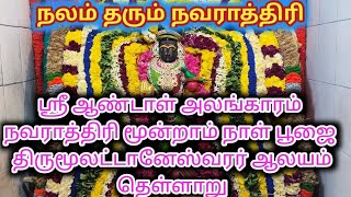 நலம் தரும் நவராத்திரி ஶ்ரீ ஆண்டாள் அலங்காரம் திருமூலட்டானேஸ்வரர் ஆலயம் தெள்ளார் navarathri [upl. by Witty]