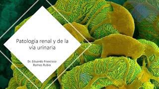 Patología renal y de la vía urinaria [upl. by Toole]