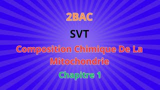 2BACSVT CH1 Libération de lénergie emmagasinée dans Composition Chimique De La Mitochondrie [upl. by Queen37]