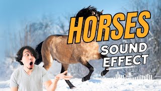 Horses  Neighing Sound Effect amp Relaxation  2 Minutes [upl. by Seligmann320]