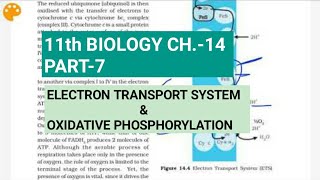 Class 11 BiologyCh14 Part7ETS amp oxidative phosphorylationStudy with Farru [upl. by Ahtiuqal]