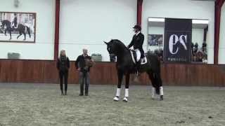 Sir Donnerhall II Helgstrand Dressage Stallion show 2014 [upl. by Broek968]