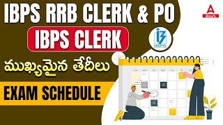 IBPS RRB Clerk PO and IBPS Clerk 2024 Exam Date  Adda247 Telugu [upl. by Anigger636]