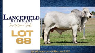 Lot 68 Lancefield M Maclain 8357 [upl. by Theodore]