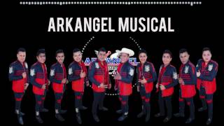 Amigo Mesero 2016  Arkangel Musical [upl. by Einre]