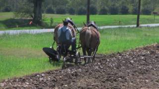 FARMER PLOWING WITH HORSES [upl. by Oruasi]