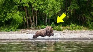 This Photo Shocked The Entire Internet Just Look What The Drone Discovered In The Chernobyl Forest [upl. by Jp]