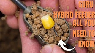 How to fish the GURU Hybrid method feeder to catch Carp  including tank test and rig setup [upl. by Aicileb]