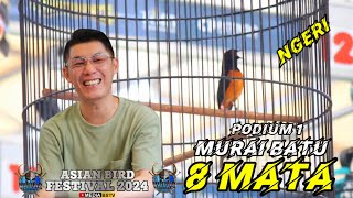 NGERI ‼️ KONCER 1 MURAI BATU 8 MATA TAMPIL MEMUKAU DI ASIAN BIRD FESTIVAL 2024  MASTERPIECE ARENA [upl. by Marmion785]