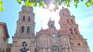 Musette in D Major Carillón Catedral de San Luis Potosí ⛪️ 🔔 [upl. by Mahala175]