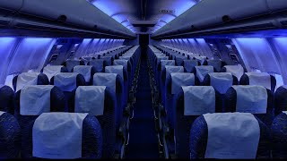 Airplane Cabin White Noise Jet Sounds  Great for Sleeping Studying Reading amp Homework  10 Hours [upl. by Danni806]