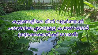 കുളത്തിലെ മീൻ വളർത്തൽ ശ്രദ്ധിക്കേണ്ട കാര്യങ്ങൾNatural pond fish farming farmingandtravel [upl. by Einafpets]