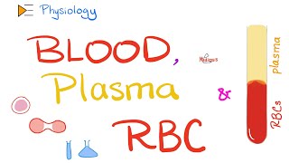 Blood Plasma and Red Blood Cells  Physiology of Blood and Immune System  Physiology Playlist [upl. by Reifel806]