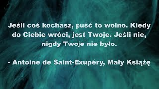 Złote Myśli Cytaty Antoine de SaintExupéry Mały Książę [upl. by Puff]