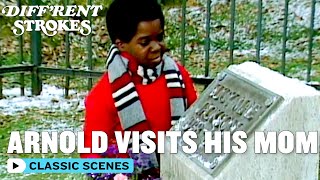 Diffrent Strokes  Arnold Pays A Visit To His Mother  Classic TV Rewind [upl. by Ciaphus]