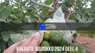 vakantie Marokko 2024 deel 4 [upl. by Navannod]