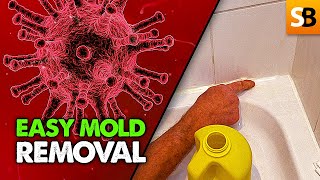 Shower Mold Removal  Super Easy Cleaning Hack [upl. by Llednohs856]