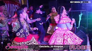 SONAJITA DE CHUMBIVILCAS  En Vivo  AREQUIPA  2017 FloresPROᴴᴰ [upl. by Ennailuj321]